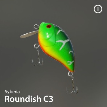 Roundish-C3.jpg
