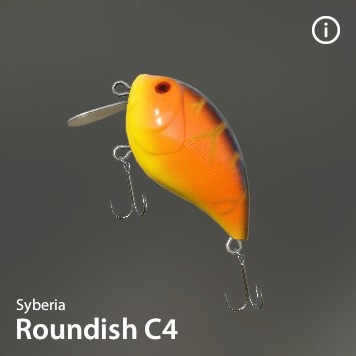 Roundish-C4_0.jpg