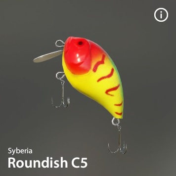 Roundish-C5.jpg
