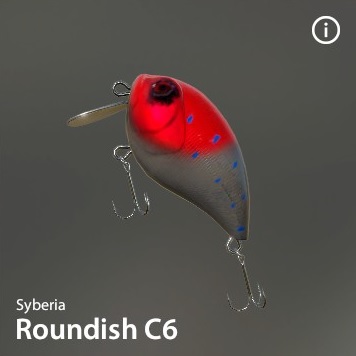 Roundish-C6.jpg