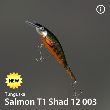 Salmon T1 Shad 12 003.jpg