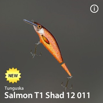 Salmon T1 Shad 12 011.jpg