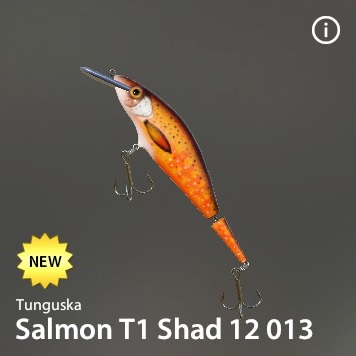 Salmon T1 Shad 12 013.jpg