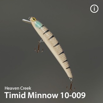Timid Minnow 10-009.jpg
