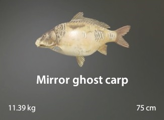 Mirror Ghost Carp.jpg
