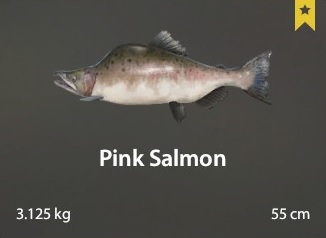 Pink Salmon.jpg