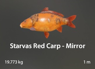 Starvas Red Carp - Mirror.jpg