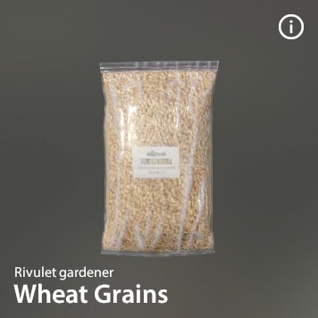 Wheat Grains.jpg