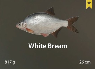 White Bream.jpg